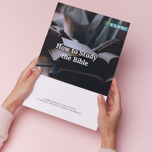 Study-Bible-Pink-Book